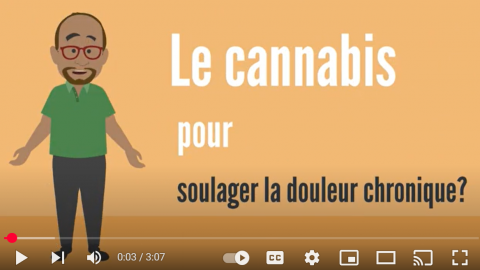 Vet_cannabis_FR_photo