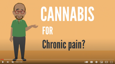 Vet_cannabis_photo